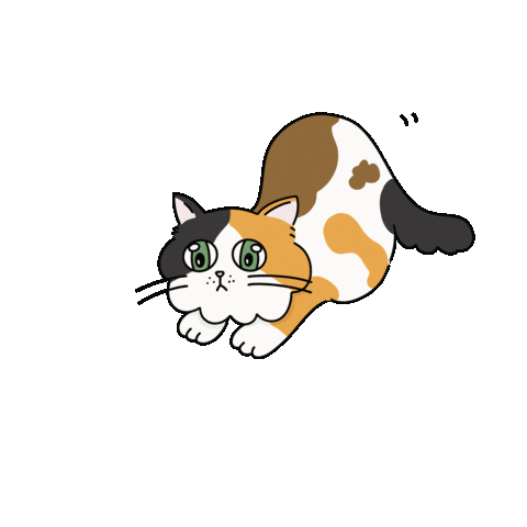 Cat Sticker