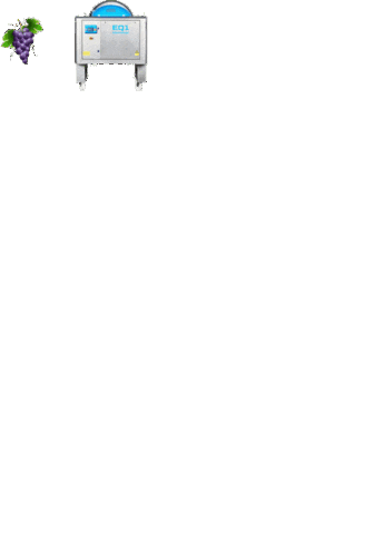 Wine Grape Sticker by Scharfenberger GmbH & Co.KG