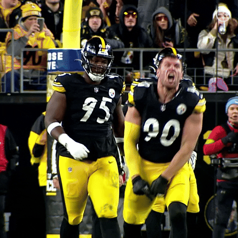 Celebrate Lets Go GIF by Pittsburgh Steelers