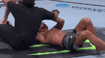 Mixed Martial Arts Knockout GIF by UFC