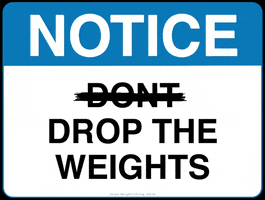 Stash Weightlifting GIF