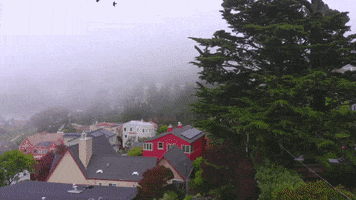 San Francisco Fog GIF by Yevbel
