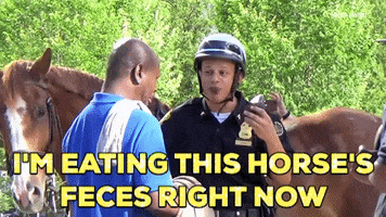 Eric Andre Horse Shit GIF by Adult Swim