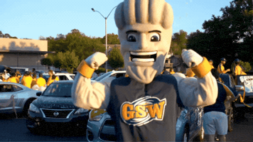 Mascot Hurricanes GIF by Georgia Southwestern State University