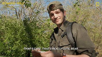 Survive Ashton Kutcher GIF by National Geographic Channel