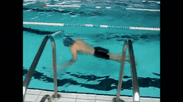 isivaqueiro  GIF