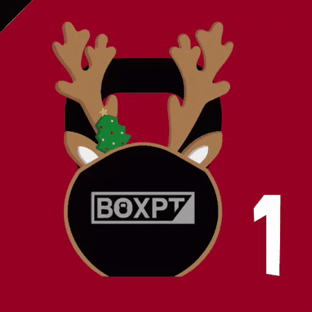 BOXPT GIF