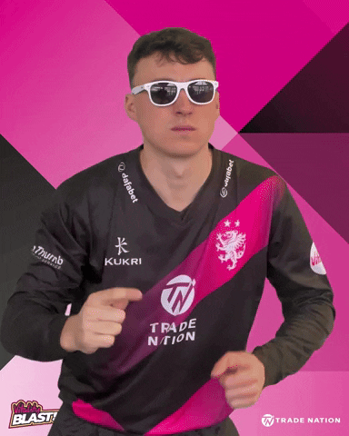 T20 Umpire GIF by Somerset County Cricket Club