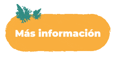 Informacion Click Sticker