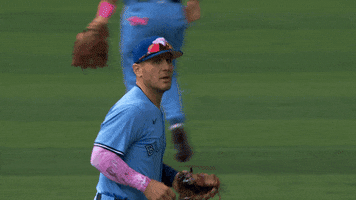 Great Job Yes GIF by Toronto Blue Jays