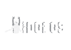 Ídolos Sticker