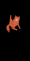 Cat Kitty GIF