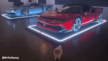 Pomeranian Happy Dog GIF