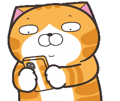 Lanlancat What Sticker by MochiDad