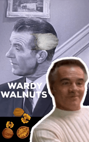 Walnuts GIF