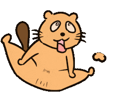 Tanuki What Sticker
