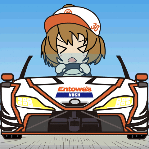 Racing Driving GIF by Entowa's