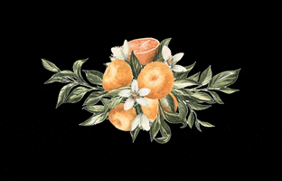 Dolce Tangerina GIF