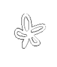 Flower 花 Sticker