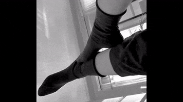 Socks GIF