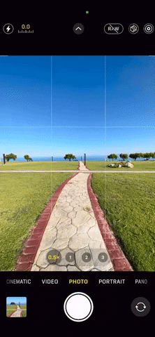 Animated GIF