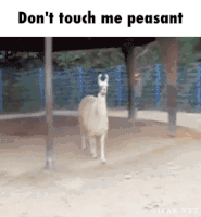 dont touch me GIF