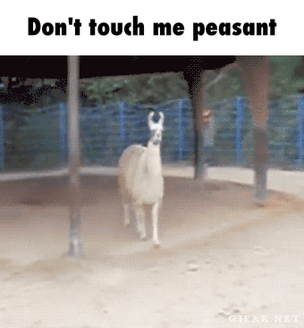 dont touch me GIF