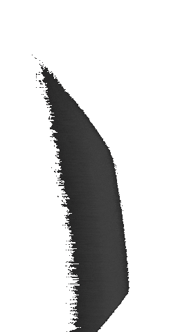 Leon Sticker by HYPDSH !