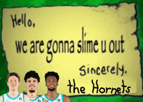 Hornets GIF