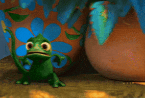 Frog GIF