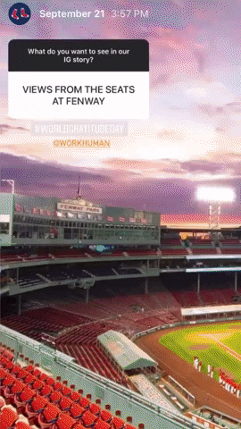 GIF by Boston Red Sox
