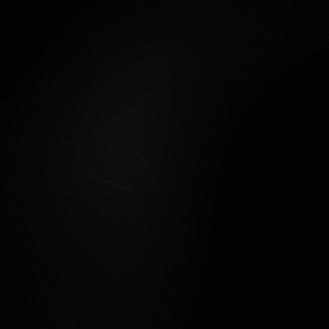 picsel GIF