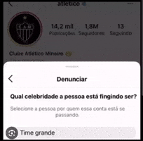 Cruzeiro Frangas GIF