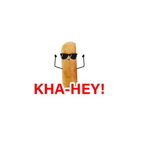 Haldiram's Nagpur Sticker