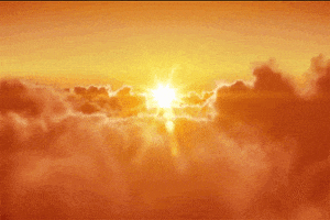 maya  GIF