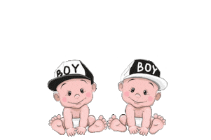 Twins Sticker