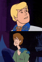 scooby doo fred GIF