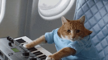 200.gif?response_id=59236e9bff0ee6eb376df230#4-grid1