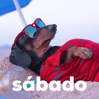 Adios-amigos GIFs - Get the best GIF on GIPHY