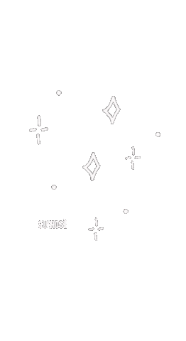 Sun Rose Sticker