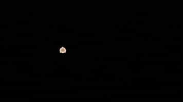 Natal GIF by Tip Top