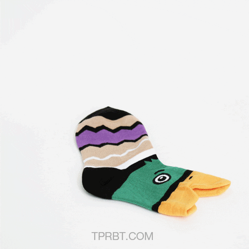 Duck Socks GIFs Find & Share on GIPHY