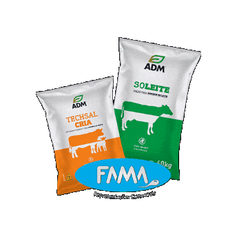 Fama Representações Comerciais Sticker