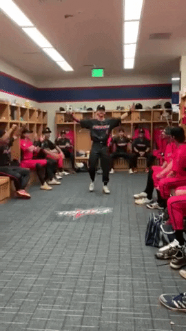 Excited Summer Baseball GIF by Florence Flamingos