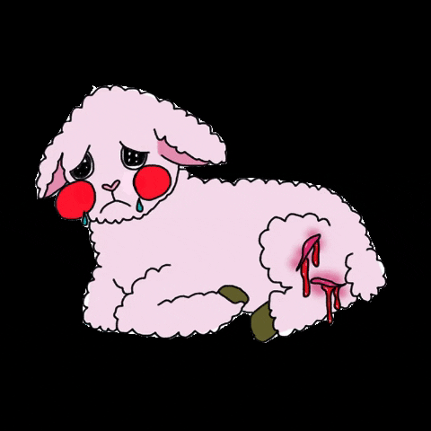 Lamb GIF