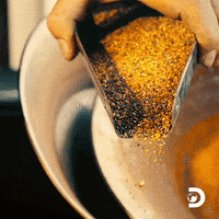 Pouring Discovery Channel GIF by Discovery
