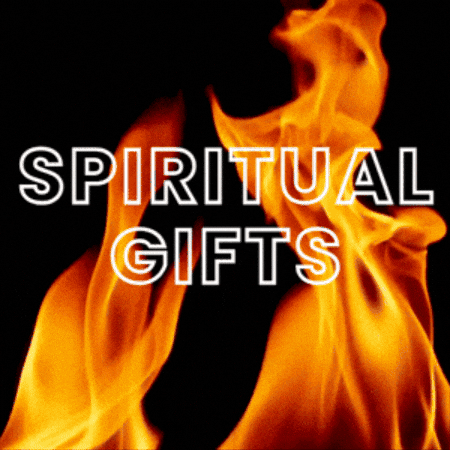 Fire Flame GIF by PurposeBloom!