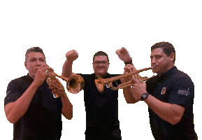 Delivery Ccb Sticker by Diminuta Instrumentos Musicais