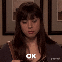 Season 3 Ok GIF by Parks and Recreation
