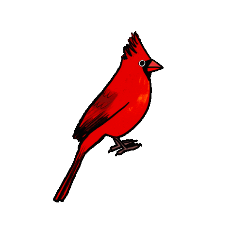 Cardinal Sticker by girlinwhiteglasses